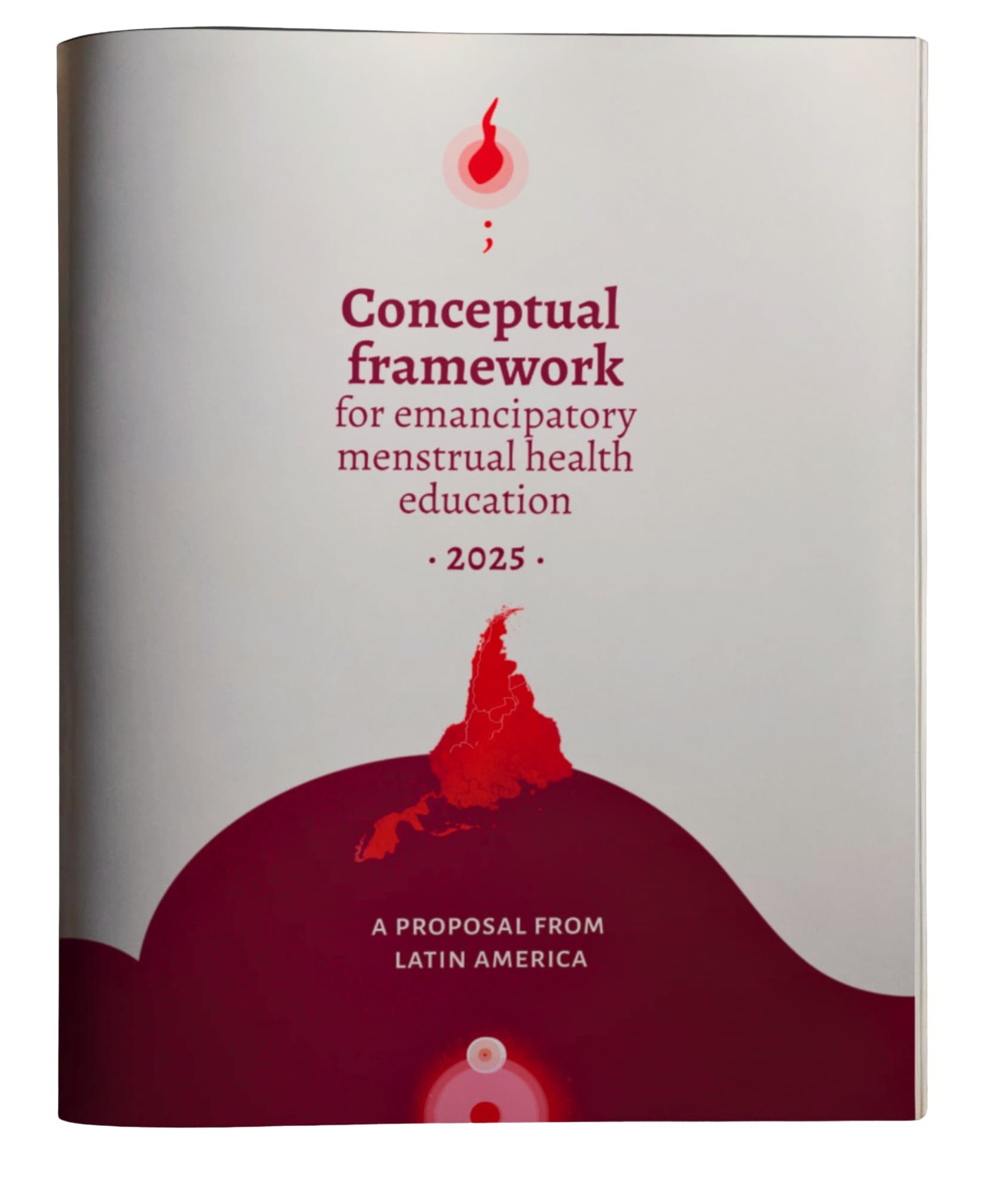 Conceptual framework